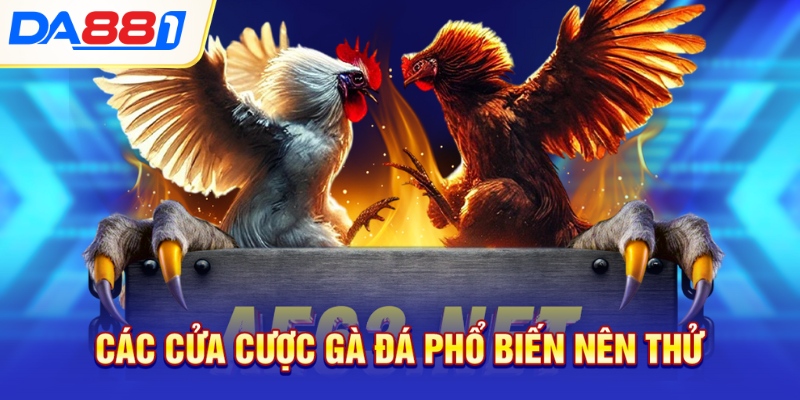 Các cửa cược gà đá phổ biến nên thử