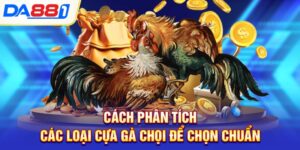 cach phan tich cac loai cua ga choi de chon chuan