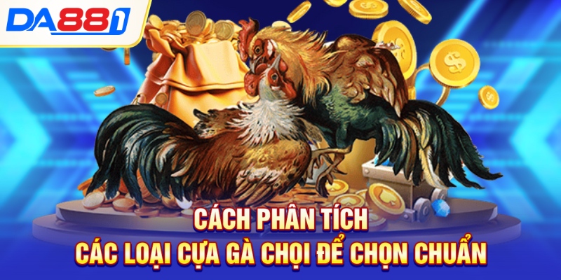 cach phan tich cac loai cua ga choi de chon chuan