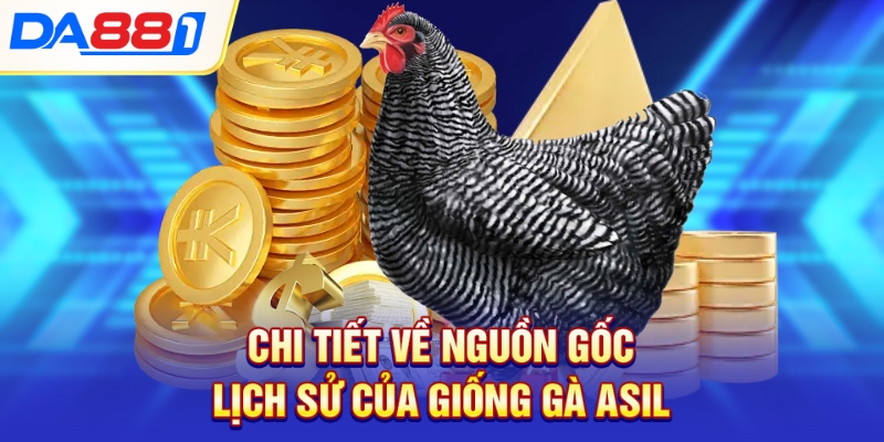 Chi tiết về nguồn gốc lịch sử của giống gà asil Chi tiết về nguồn gốc lịch sử của giống gà asil