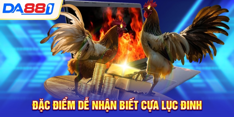 Đặc điểm dễ nhận biết cựa lục đinh