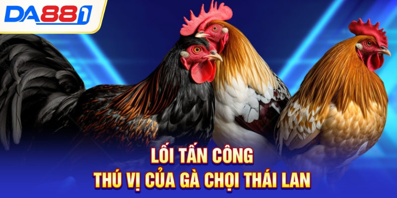 Lối tấn công thú vị của gà chọi Thái Lan