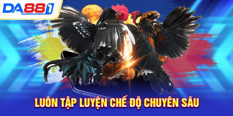 Luôn tập luyện chế độ chuyên sâu Luôn tập luyện chế độ chuyên sâu