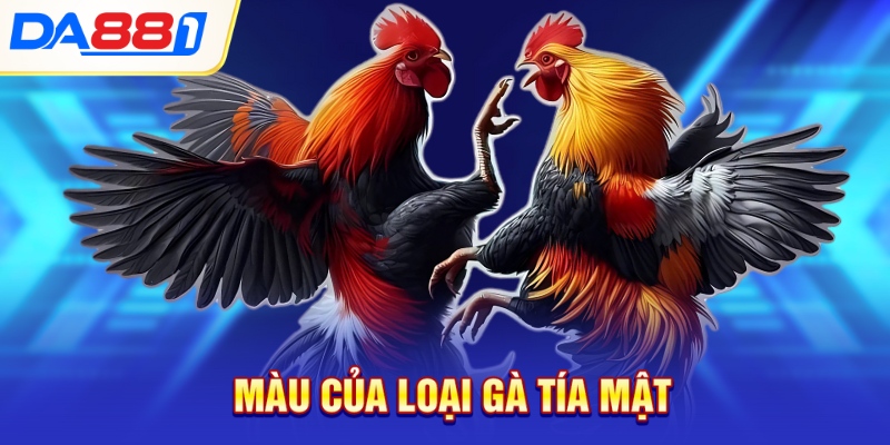 Màu của loại gà tía mật Màu của loại gà tía mật
