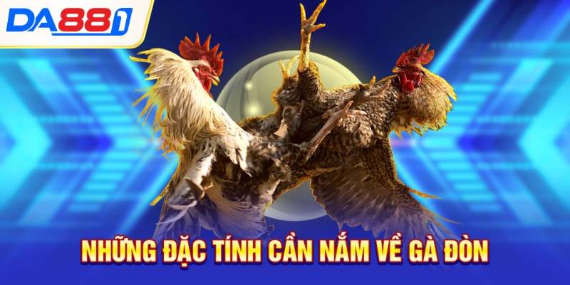 Những đặc tính cần nắm về gà đòn Những đặc tính cần nắm về gà đòn