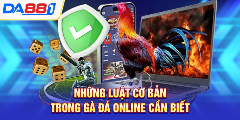 Những luật cơ bản trong gà đá online cần biết