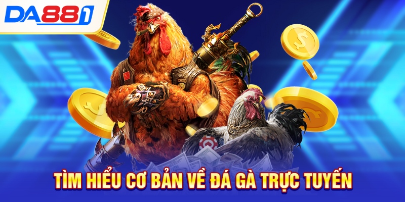 Tìm hiểu cơ bản về đá gà trực tuyến
