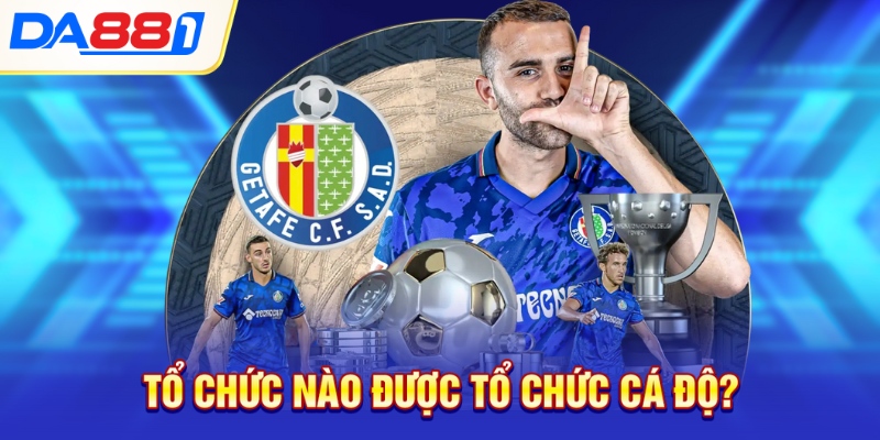 Tổ chức nào được tổ chức cá độ? Tổ chức nào được tổ chức cá độ?