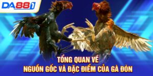 tong quan ve nguon goc va dac diem cua ga don