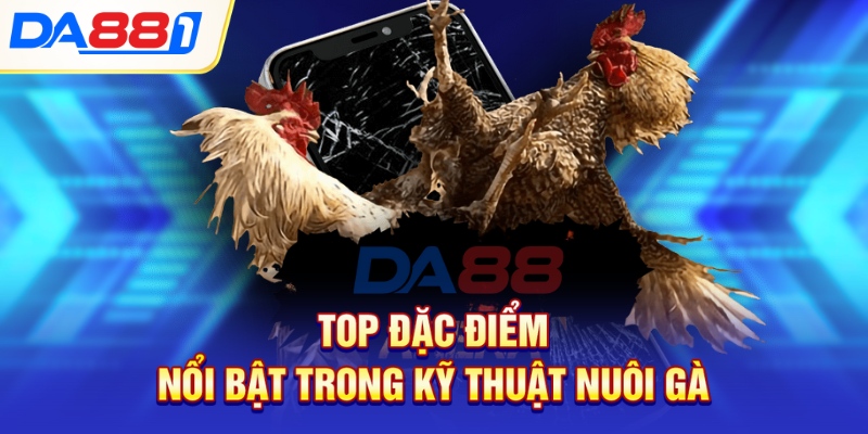Top đặc điểm nổi bật trong kỹ thuật nuôi gà Top đặc điểm nổi bật trong kỹ thuật nuôi gà